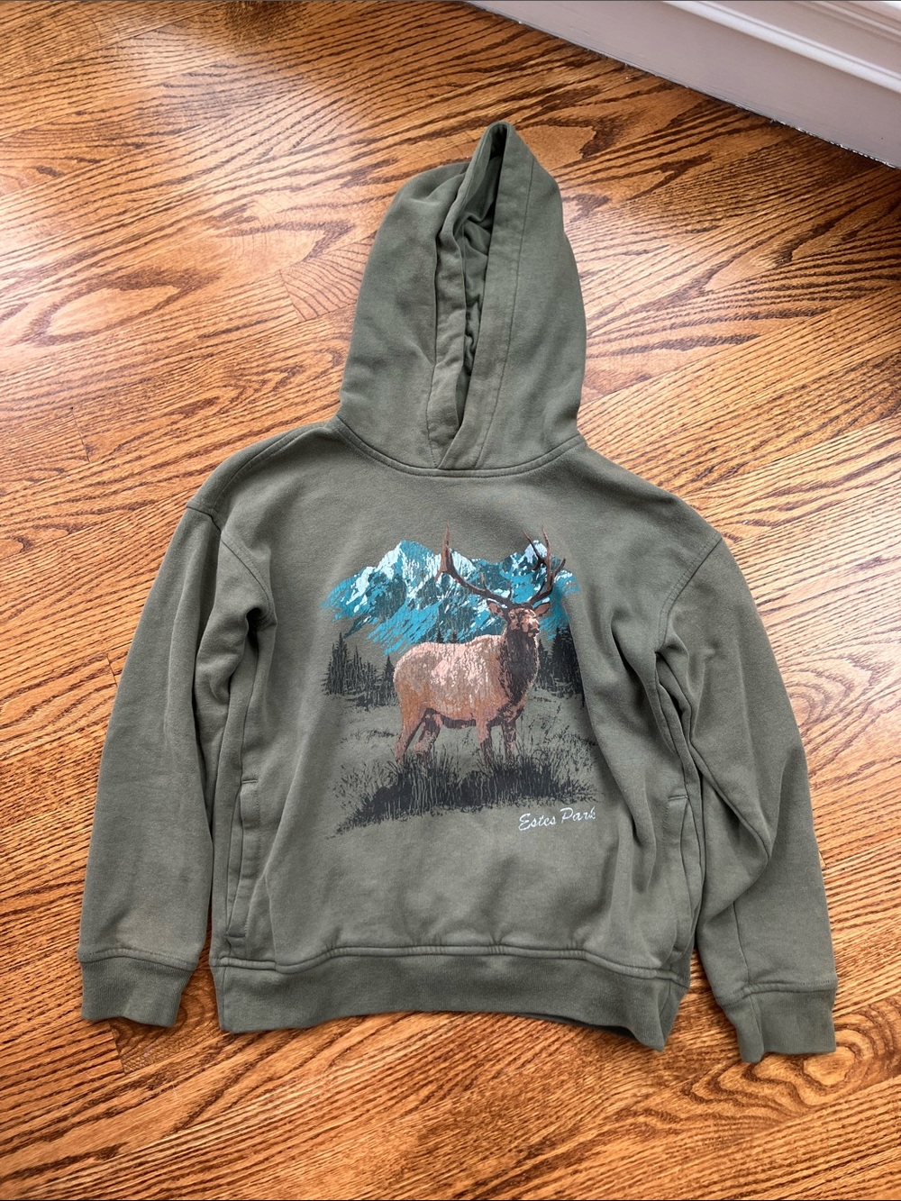 abercrombie kids Olive Green Hoodie with Elk and Mountain Graphic